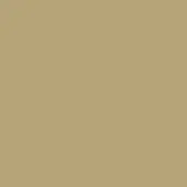 Champagne 460 color swatch, matte finish, solid rectangular composition, muted neutral tone, uniform surface, subtle metallic appearance.